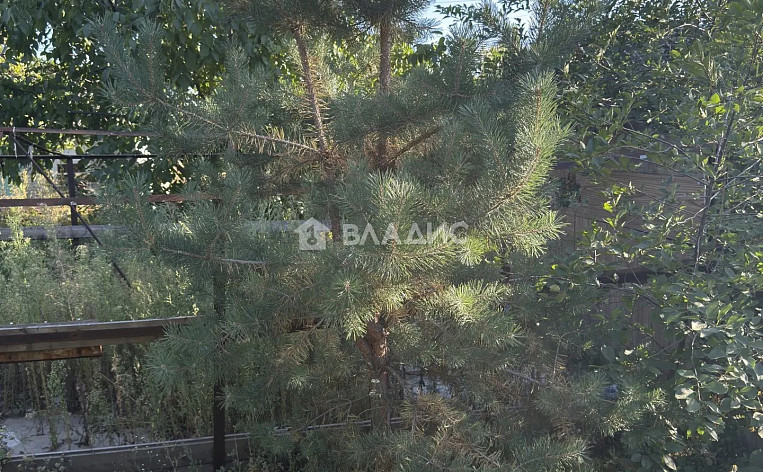 Дом 55.50м², фото 20
