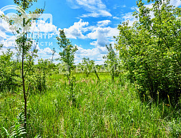 Земельный участок 10.00 соток