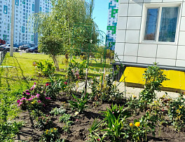 1-Комнатная квартира 33.50м²