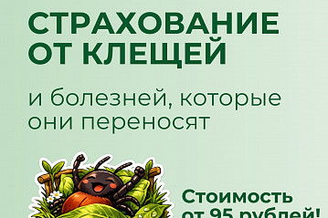 Весна 2026: природа просыпается, и клещи тоже!