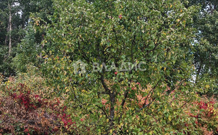 Дом 38.00м², фото 25