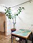 1-Комнатная квартира 40.80м², эт. 1, фото 3