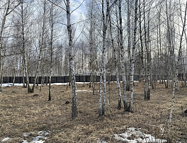 Земельный участок 9.00 соток