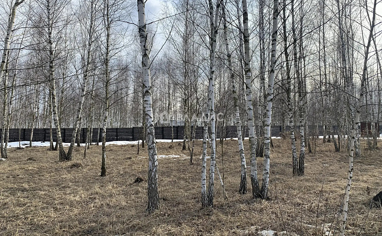 Земельный участок 9.00 соток, фото 9